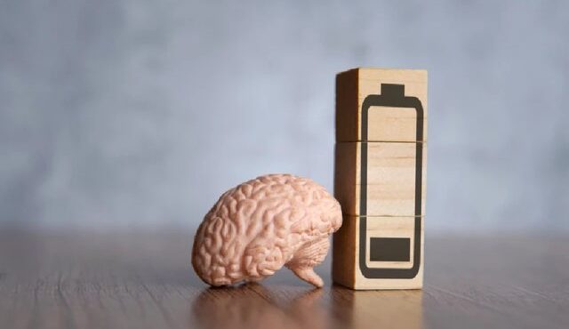 کاهش خواب‌آلودگی روزانه با تغییر رژیم غذایی