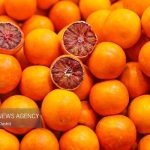 تشدید نظارت قضایی برای آرامش بازار ایلام