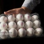 پیش‌بینی قیمت تخم‌مرغ، از هر شانه ۳۶۰۰۰۰ تا ۴۲۰۰۰۰ تومان