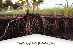 بستر کشت گلخانه تصویر 1